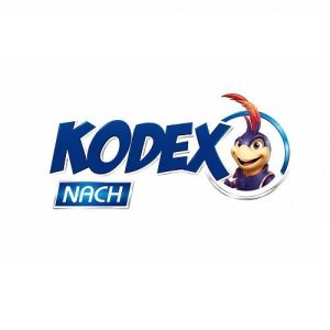 kodex کدکس لوگو