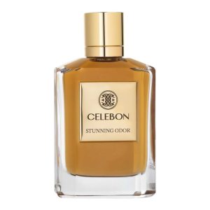 ادوپرفیوم مردانه سلبون مدل Universe Stunning Odor حجم 100 میل